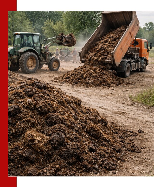 Доставка навоза самосвалами в Гусе-Хрустальном для сельхозпотребностей