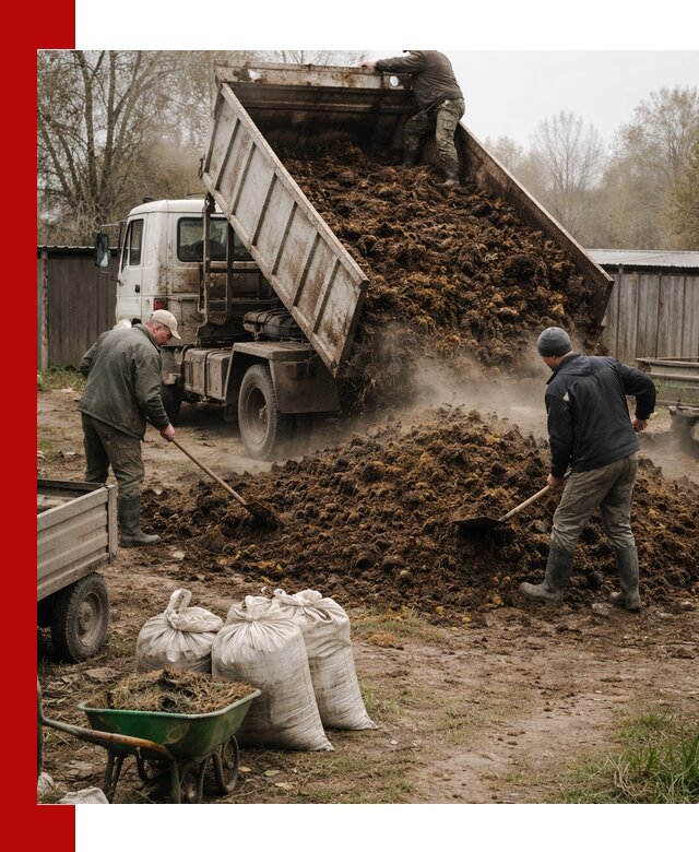 Доставка коровьего навоза самосвалом в Гусе-Хрустальном
